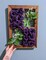 Artificial Rose Heads Purple Fake Roses Latex Foam Roses Real Looking Rose Heads with Stems Wedding Decor DIY Bouquets Party Home Decor